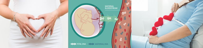 Dịch vụ xét nghiệm NIPT sàng lọc trước sinh không xâm lấn