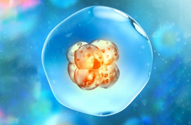 Phân tích di truyền môi trường nuôi cấy phôi