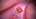 huyen.8.2021/throm2.png