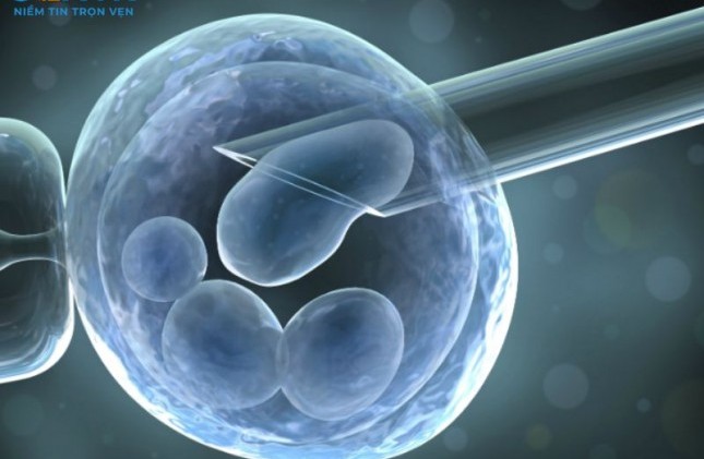 Xét nghiệm Genratest mang hy vọng cho các cặp vợ chồng hiếm muộn