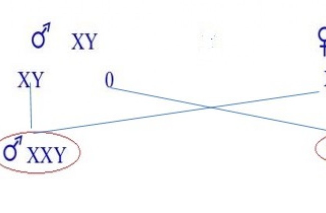 Phát hiện bất thường giới tính từ xét nghiệm huyết thống