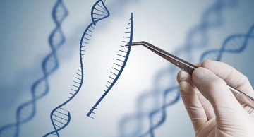 xét nghiệm adn ở đồng nai