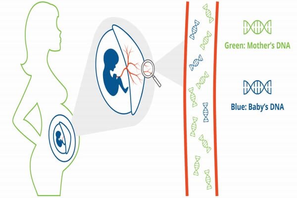 địa chỉ kh&aacute;m s&agrave;ng lọc trước sinh