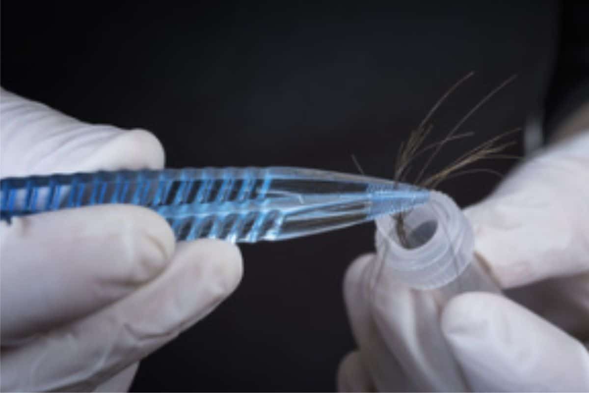 địa chỉ x&eacute;t nghiệm adn vũng t&agrave;u