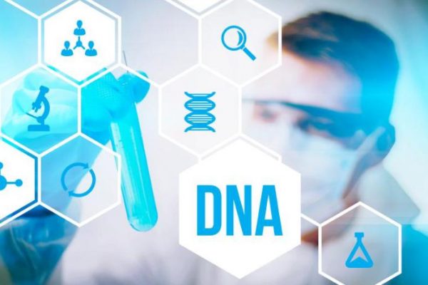 x&eacute;t nghiệm adn để l&agrave;m g&igrave;