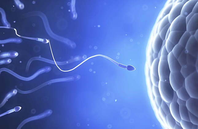 Chi phí xét nghiệm phân mảnh ADN tinh trùng tại Hà Nội