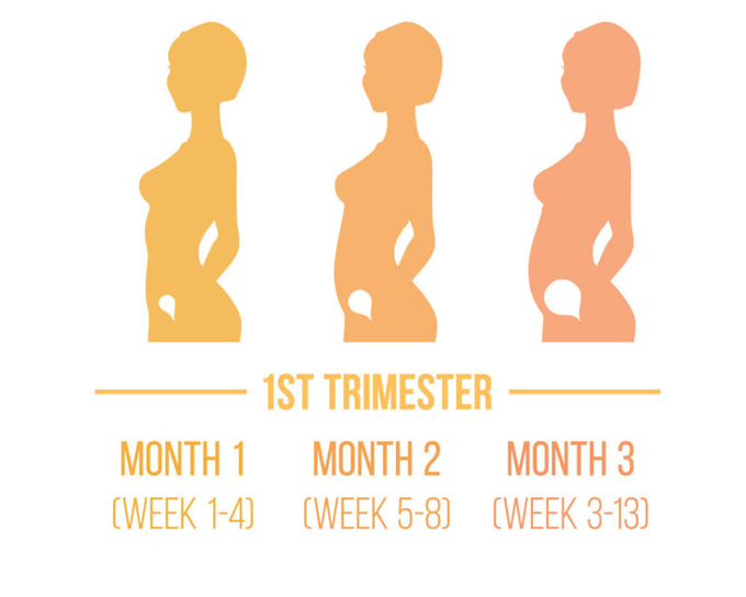 C&aacute;c giai đoạn quan trọng để ph&aacute;t hiện dị tật thai nhi