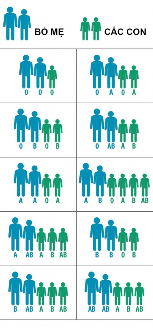 Nh&oacute;m m&aacute;u của anh chị em trong gia đ&igrave;nh l&agrave; sự kết hợp nh&oacute;m m&aacute;u của bố v&agrave; mẹ