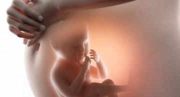 dị tật bẩm sinh là gì