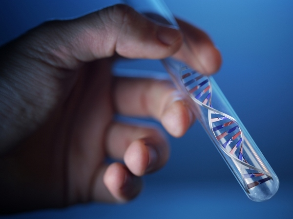 Kết quả xét nghiệm ADN bằng tóc giúp xác định huyết thống