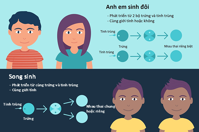 Anh em sinh đôi cũng có thể không cùng mã gen