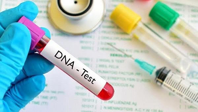 mẫu m&aacute;u để ph&acirc;n t&aacute;ch giải tr&igrave;nh tự DNA