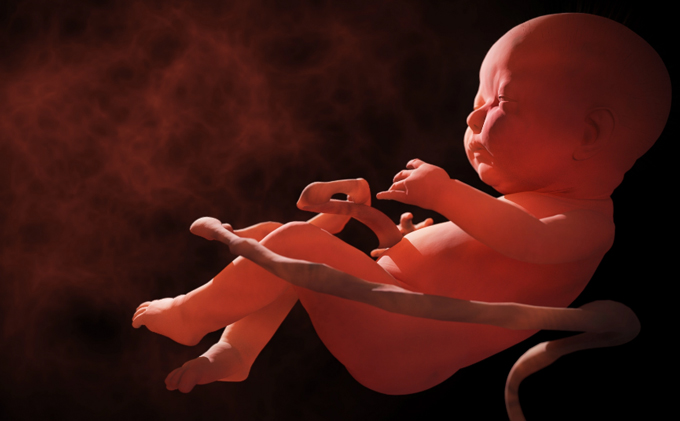 thai 30 - 32 tuần tuổi