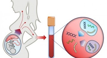 khi mang thai có xét nghiệm adn được không