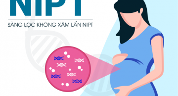 Xét nghiệm nipt ở Đà Nẵng
