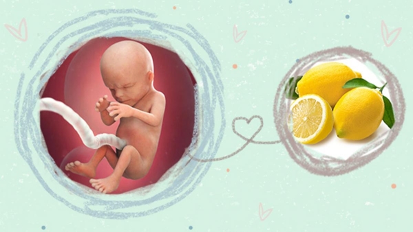 Siêu âm giúp phát hiện bất thường về cấu trúc cơ thể